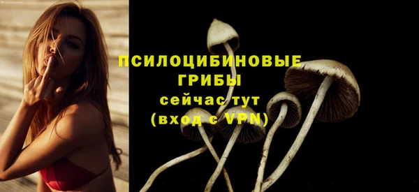 индика Зеленодольск