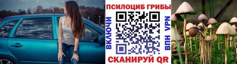 Галлюциногенные грибы мухоморы  цены наркотик  Рудня 